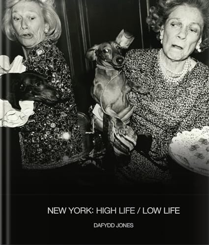 New York: High Life / Low Life (Dafydd Jones)