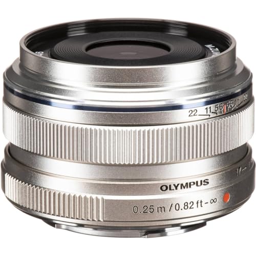 OM SYSTEM Olympus M.Zuiko Digital 17mm F1.8 Silver for Micro Four Thirds System Camera, Compact Design, Beautiful Bokeh, Bright