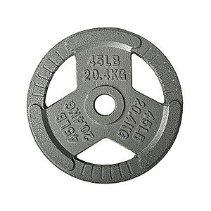 Woot! App: $24.29 | 45-lb Fitvids Cast Iron Plate Weight Plate at Woot!