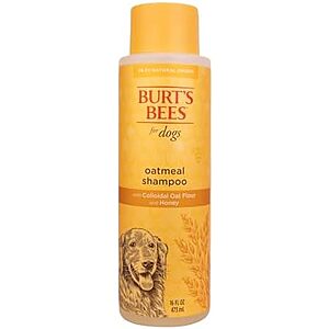 Burt's Bees for Pets Oatmeal Dog Shampoo with Honey, Soothing Formula for Itchy and Sensitive Dog Skin, Colloidal Oat Flour and Honey, pH Balanced, Sulfate-Free, 16 Fl Oz