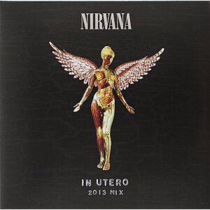 $26.59 | Nirvana: In Utero 2013 Mix (Vinyl) at Amazon
