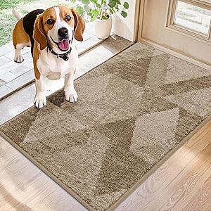 $9.99* | 20" x 32" Cosy Homeer Entryway Non-Slip Rug at Amazon