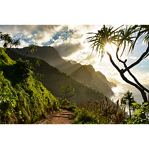 Round Trip Oakland CA - Kauai Hawaii or Vice Versa $257 Nonstop Airfares on American or Southwest Airlines BE (Spring Travel April - May 2026)