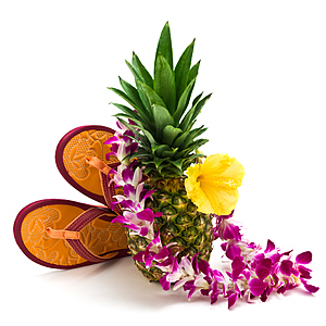 Round Trip Orlando FL - Maui Hawaii or Vice Versa $392 Airfares on Southwest Airlines BE (Limited Travel August-November 2026)