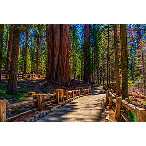 Round Trip Orlando FL - Fresno (Yosemite National Park) CA or Vice Versa $185 Airfares on Southwest Airlines BE (Travel August - December 2026)