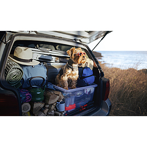 Avis & Budget Car Rental Flash Sale Up To 30% Off On Top Of Reduced Rates At Most Airport Locations - Book by June 30, 2026