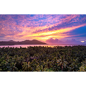 $200 Price Drop! Round Trip Dallas - Fiji $596 Nonstop Airfares on Fiji Airways BE with 1 Free Checked Bag (Travel August 2026)