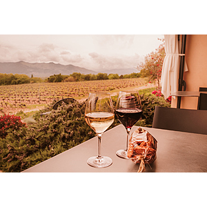 Round Trip Las Vegas - Sonoma County/Wine Country or Vice Versa $137 Nonstop Airfares on Alaska or Southwest Airlines BE Plus One Case of Wine Travels Free (Travel Sept - Dec 2026)