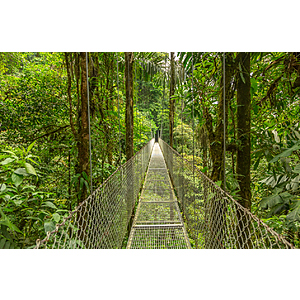 Round Trip New York to San Jose Costa Rica $316 Airfares on American Airlines BE (Travel October - November 2026)