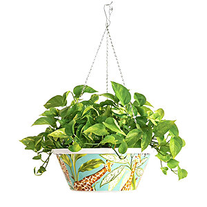 $5 Free Pick Up SAMS CLUB MEMBERS Member's Mark 14'' Hanging Flower Pot with Stainless Steel Chain