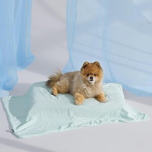 Prime: Bedsure Lightweight Cooling Blanket for Cats and Small Dogs (Various) 25" x 35" from $9.39, 40" x 50" from $13.74 & More + Free Shipping