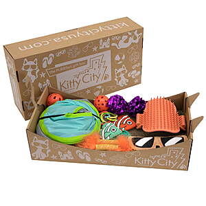 15-Piece Kitty City Deluxe Cat Toy Box Set $10.17 + Free Shipping w/ Walmart+ or on $35+