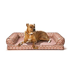 Woot Extra 20% Off After 3+ Items (or 30% Off For New Customers) on ASPCA, AKC, Nylabone Dog Toys & More + Free S&H w/ Prime