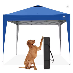 10x10 Pop Up Canopy Tent $56.35 + Free S&H at Aliexpress