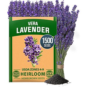 HOME GROWN Non GMO English Lavender Seeds 1,500+ Wildflower Seed for Planting Indoor/Outdoor, High Germination, Plant Flower Seeds (Lavandula antustifolia)