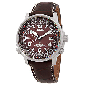 Citizen Promaster Sky Perpetual World Time Brown Dial Men's Watch $234
