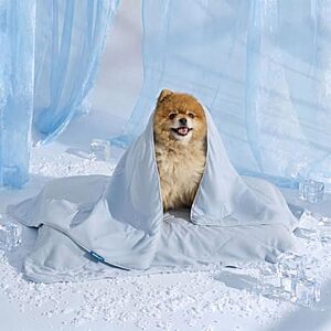 [Prime] 25" x 35" Bedsure Cooling Throw Blanket for Dogs & Cats (2 Colors) $11.99 & More + Free Shipping