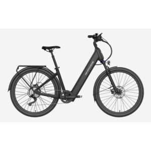 VanPowers E-Bike Deals $599