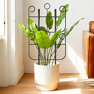 2-Pack Expandable Metal Plant Trellis $5.99 &ndash; Heavy-Duty Climbing Support for Potted Plants & Vines