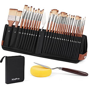 Amazon ~ Nicpro 30 pc Professional Paint Brush Set w/Holder $12.99 (50% off)