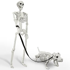 Lighted Human & Dog Skeleton Halloween Decorations Outdoor/Indoor - 36 Inch Realistic Full Body Movable Posable Skeleton Spooky Halloween Decor $35.99