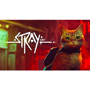 $11.69: Stray