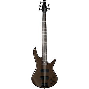 Ibanez GSR205B 5-String Electric Bass Guitar $200, AW54CE Cutaway Dreadnought Acoustic Electric Guitar $220 + Free S/H $199.99